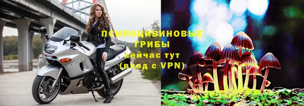 ALPHA PVP Арсеньев