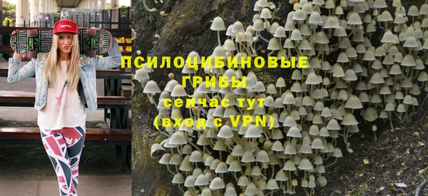 прущая мука Армянск